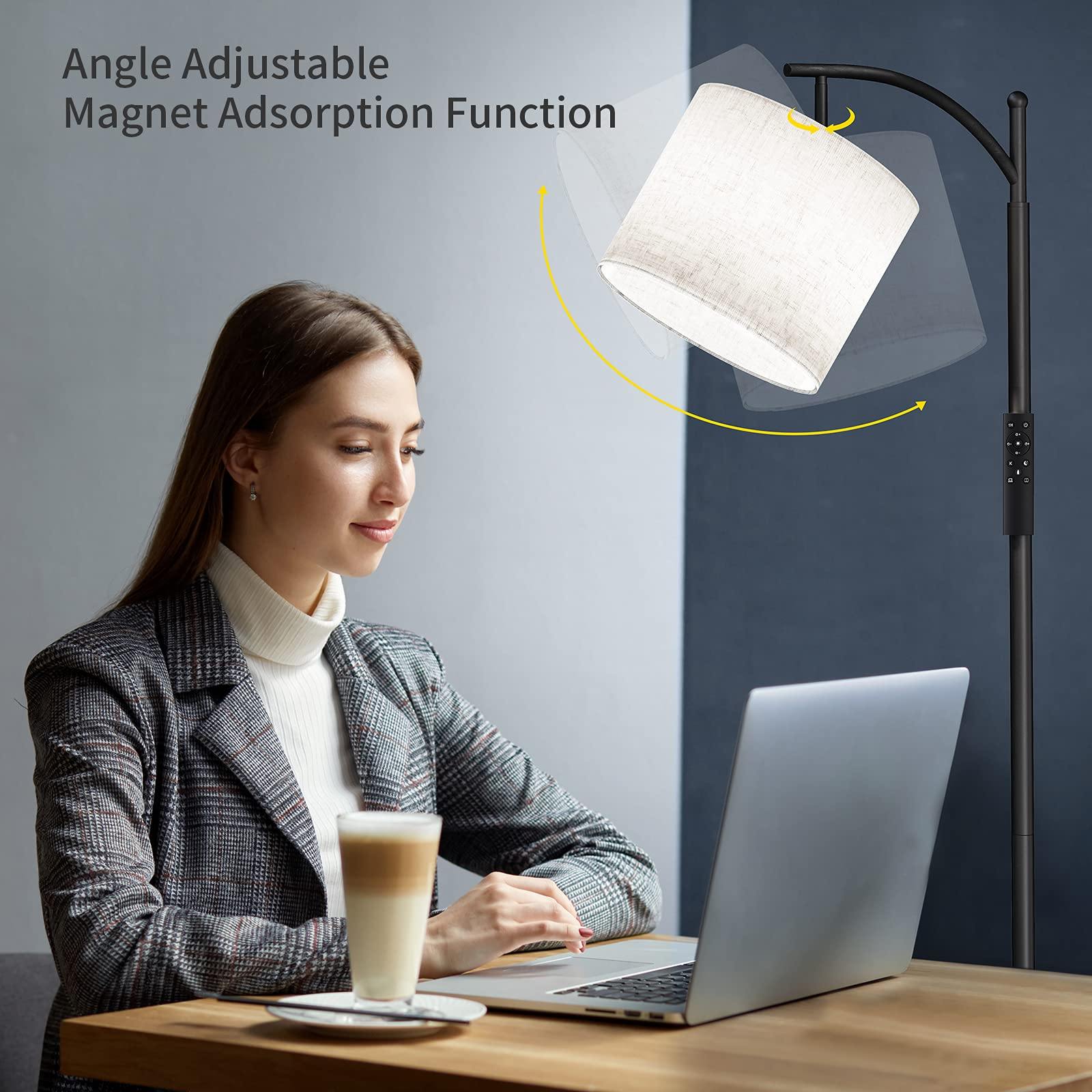 Sunmory Arc Floor Lamp adjustable function